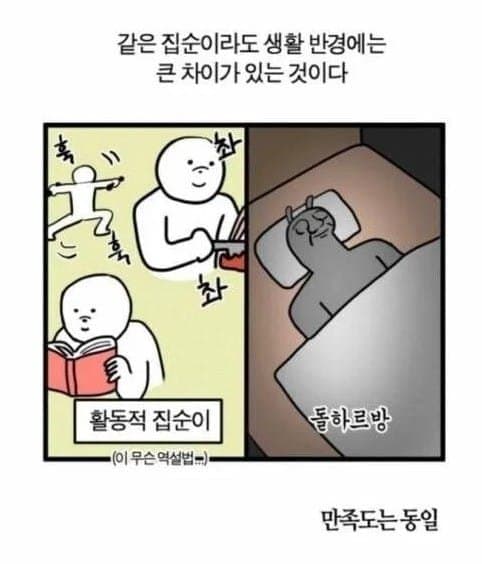 집순이의 종류